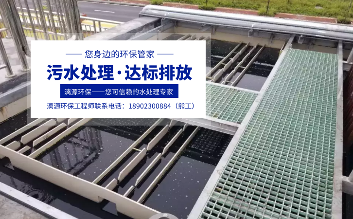 二水槲皮素废水处理厂家漓源环保