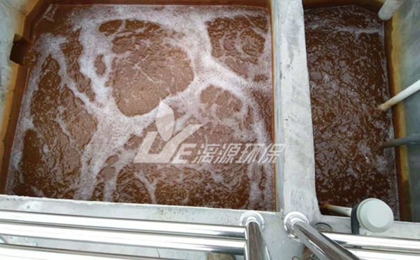 岩白菜素废水处理